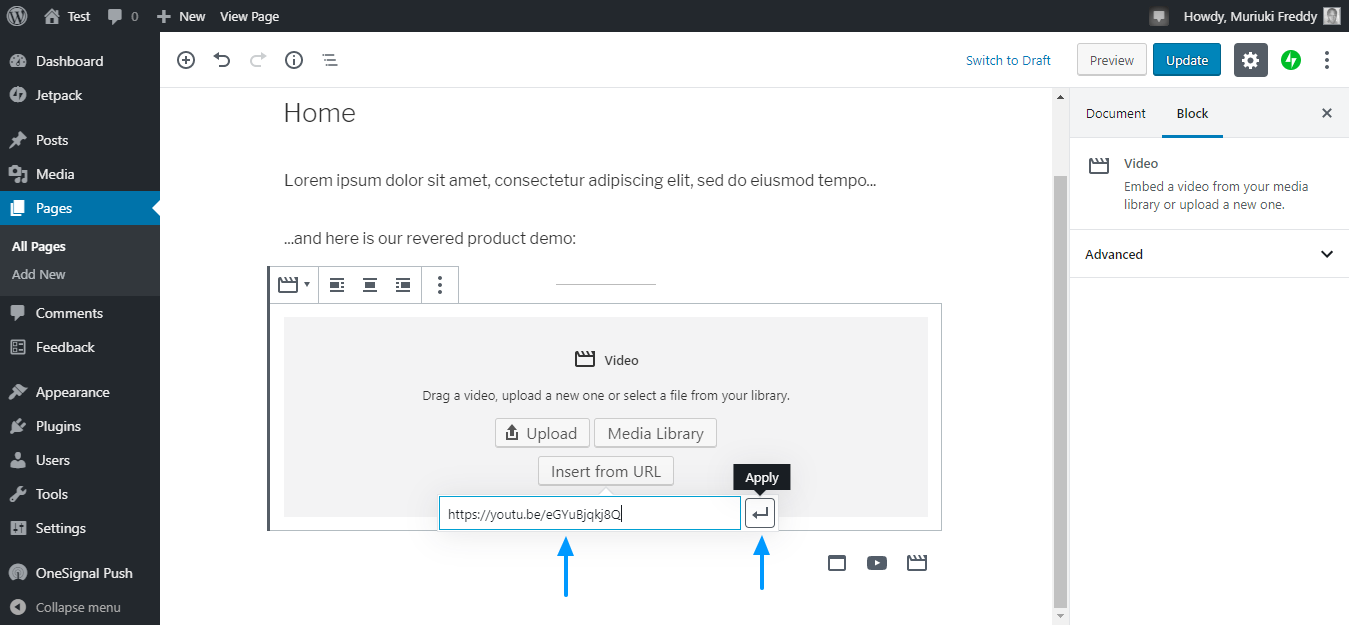 add video to wordpress site by insert by url