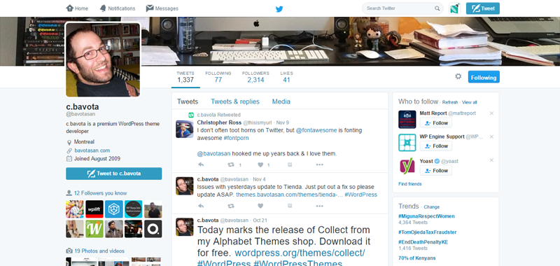 wordpress-professionals-to-follow-bavota
