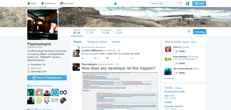 wordpress-professionals-to-follow-pippinsplugins